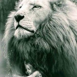 Meet your Posher, Jillian